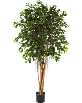 Искусственное растение Ficus Retusa Ball / Фикус Ретуза H180cm
