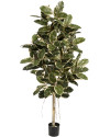 Искусственное растение Ficus Elastica Tree / Фикус Эластика пёстрый H210cm NKoop FW