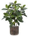 Искусственное растение Ficus Elastica / Фикус Эластика H90cm NKoop FW