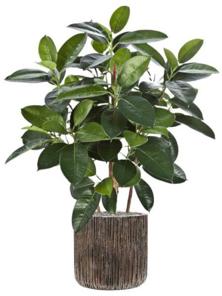 Искусственное растение Ficus Elastica / Фикус Эластика H90cm NKoop FW