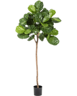 Искусственное растение Ficus Lyrata / Фикус Лирата H170cm