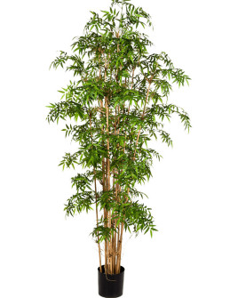 Искусственное растение Bamboo Japanese / Бамбук Японский H230cm
