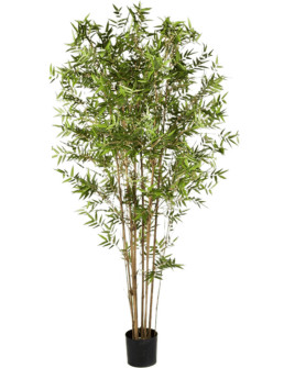 Искусственное растение Bamboo Japanese Oriental / Бамбук Японский восточный H90cm