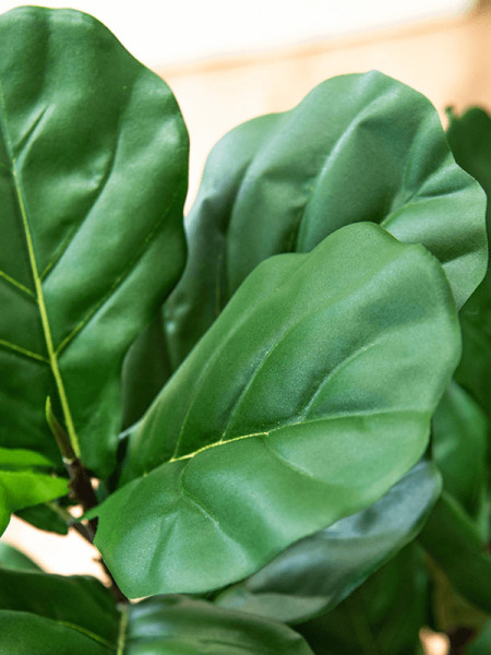 Искусственное растение Ficus Fiddle Tree / Фикус лировидный H90cm NKoop DP