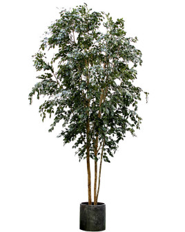 Искусственное растение Ficus Exotica / Фикус Экзотика H400cm