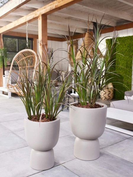 Artificial Plant Grass Burgundy H115cm NKoop EEG