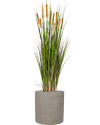 Искусственное растение Grass Cattail / Трава Рогоз (камыш) H120cm NKoop FW