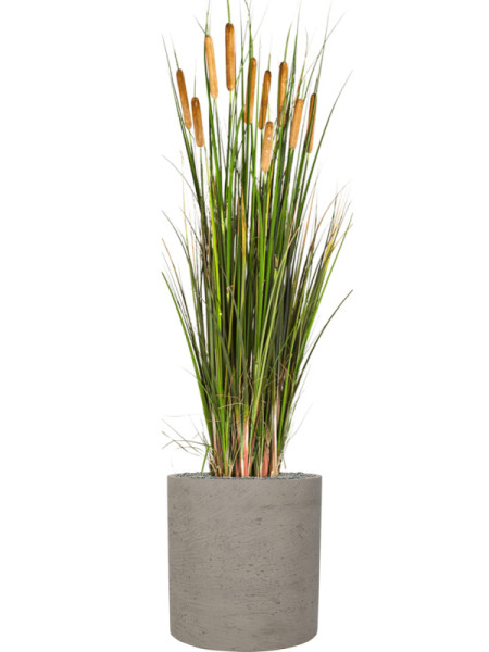 Искусственное растение Grass Cattail / Трава Рогоз (камыш) H120cm NKoop FW
