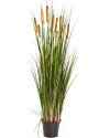 Искусственное растение Grass Cattail / Трава Рогоз (камыш) H120cm NKoop FW
