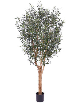 Искусственное дерево Олива Европейская / Olive Europea H185cm