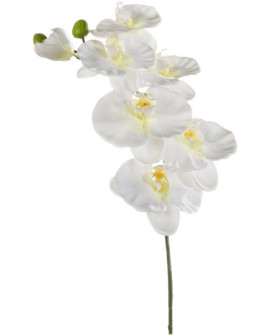 Artificial Plant Orchid Phalaenopsis H80cm