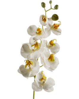 Artificial Plant Orchid Phalaenopsis H68cm