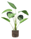 Искусственное растение Strelitzia / Стрелиция H120cm NKoop EEG