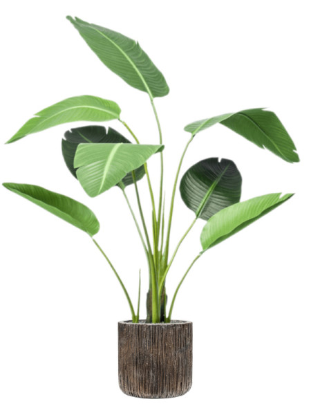 Искусственное растение Strelitzia / Стрелиция H120cm NKoop EEG