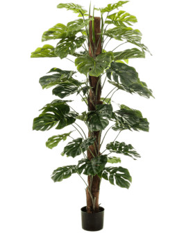 Искусственное растение Monstera Column / Монстера H150cm