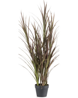 Artificial Plant Grass Burgundy H115cm