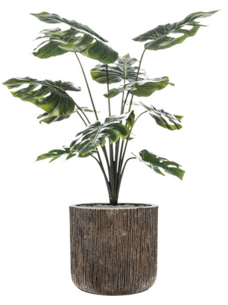 Искусственное растение Monstera / Монстера H80cm NKoop EEG