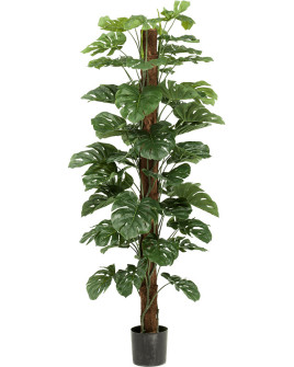 Искусственное растение Monstera Column / Монстера H180cm