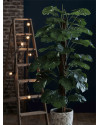 Искусственное растение Monstera Column / Монстера H180cm NKoop EEG