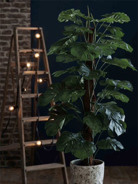 Искусственное растение Monstera Column / Монстера H180cm NKoop EEG