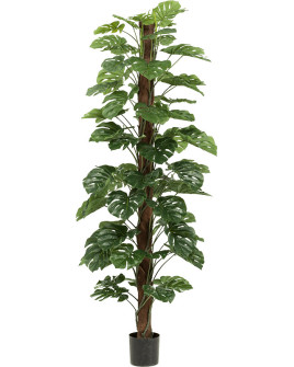 Искусственное растение Monstera Column / Монстера H210cm