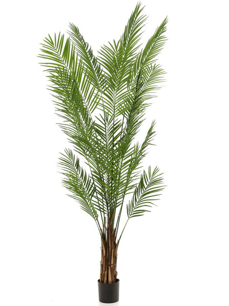 Искусственное растение Palm Areca / Пальма Арека H240cm NKoop EEG