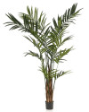 Штучна рослина Palm Kentia / Пальма Кентія H270cm NKoop EEG