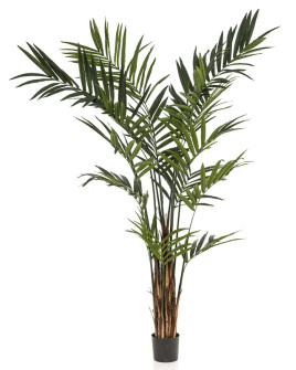 Искусственное растение Palm Kentia / Пальма Кентия H270cm