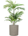 Штучна рослина Palm Phoenix / Пальма Фінікова H90cm NKoop EEG