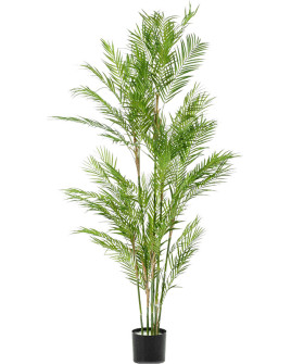 Искусственное растение Palm Chamaedorea / Пальма Хамедорея H180cm