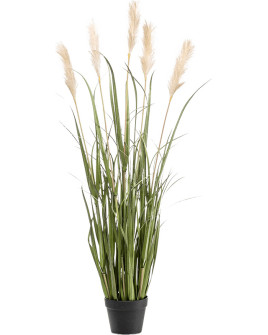Искусственное растение Grass Pampas / Трава Кортаделия H130cm