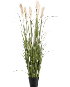 Искусственное растение Grass Pampas / Трава Кортаделия H160cm