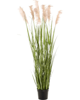 Искусственное растение Grass Pampas / Трава Кортаделия H175cm