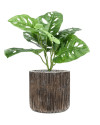 Artificial Plant Monstera H30cm NKoop EEG