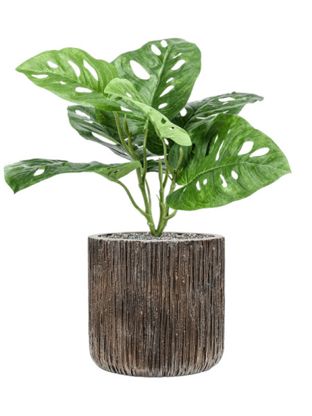 Artificial Plant Monstera H30cm NKoop EEG