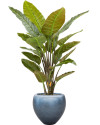 Искусственное растение Strelitzia / Стрелиция H135cm NKoop EEG