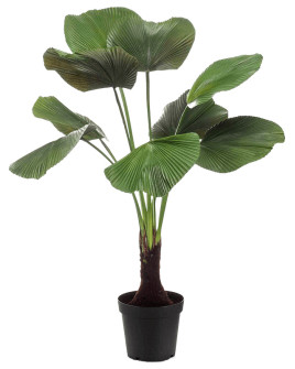 Искусственное растение Palm Licuala / Пальма Ликуала H130cm