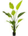 Искусственное растение Strelitzia Nicolai / Стрелиция Николая H150cm NKoop EEG