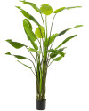 Искусственное растение Strelitzia Nicolai / Стрелиция Николая H235cm NKoop EEG