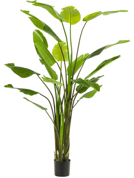 Искусственное растение Strelitzia Nicolai / Стрелиция Николая H235cm NKoop EEG