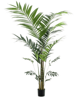 Искусственное растение Palm Kentia / Пальма Кентия H210cm