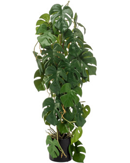 Искусственное растение Monstera / Монстера H75cm