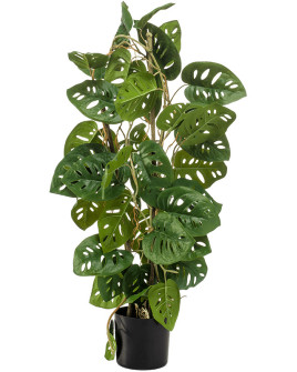 Штучна рослина Monstera Monkey / Монстера Манкі H75cm