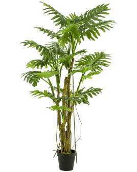 Искусственное растение Philodendron / Филодендрон H195cm