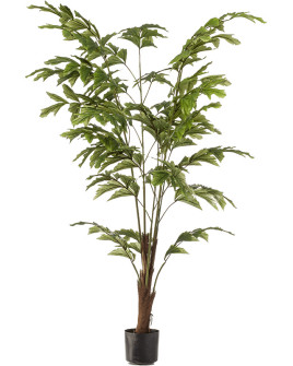 Искусственное растение Palm Fishtail / Пальма Рыбий хвост H155cm