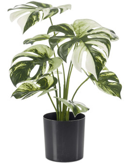 Искусственное растение Monstera Green-White / Монстера H40cm