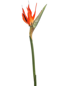 Artificial flower Strelitzia Orange H85cm