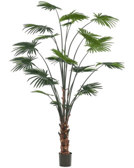 Искусственное растение Palm Livistona / Пальма Ливистона H240cm