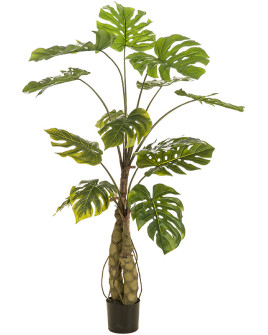 Искусственное растение Monstera on Trunk / Монстера H150cm