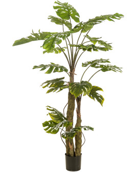 Искусственное растение Monstera on Trunk / Монстера H180cm